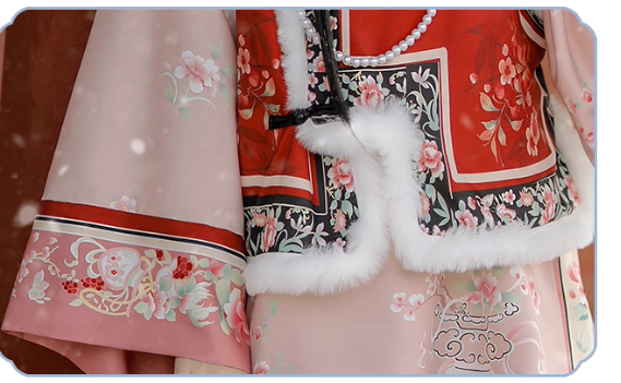 Qing Dynasty women's Hanfu Aoqun autumn and winter thickened ancient costume