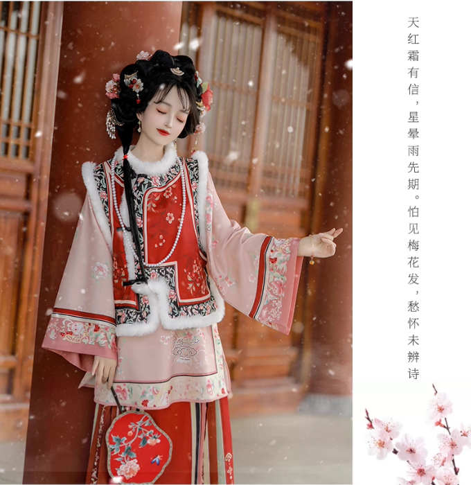 Qing Dynasty women's Hanfu Aoqun autumn and winter thickened ancient costume