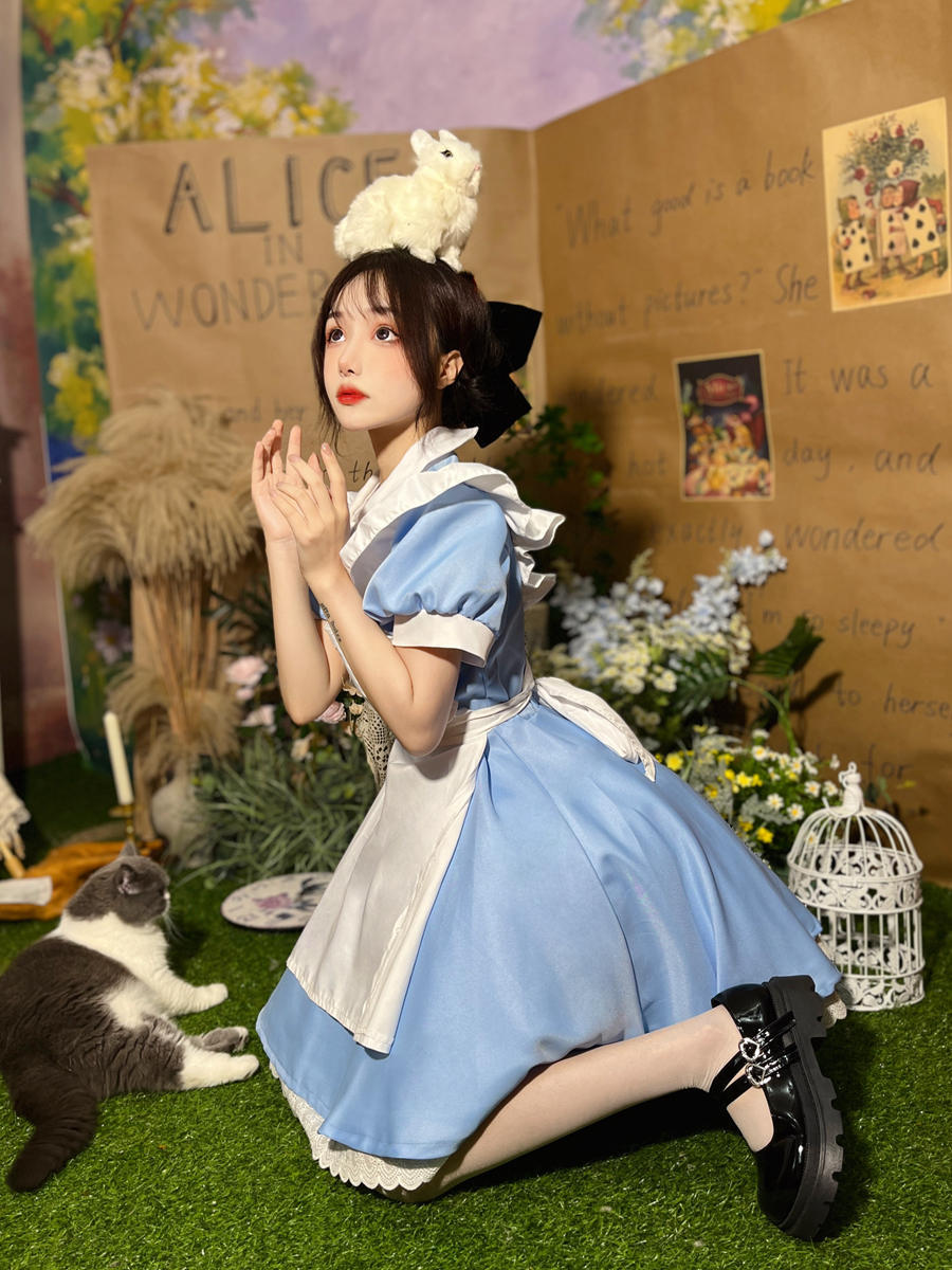 Alice in Wonderland Runaway Princess Blue Maid Halloween Costume - Anime Cosplay Dress