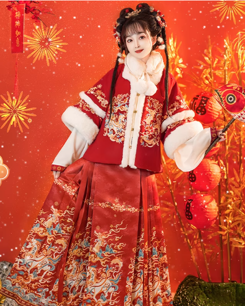 Ming Hanfu Women's 2025 New Winter Horse-faced Skirt Improved with Velvet Thickened Coat Skirt Daily Costume