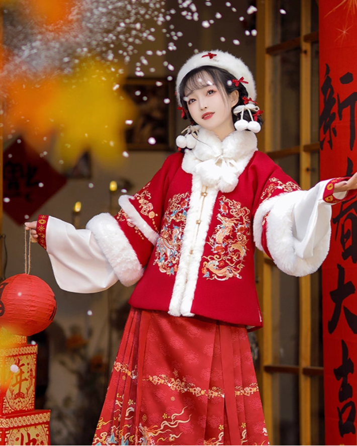Ming Hanfu Women's 2025 New Winter Horse-faced Skirt Improved with Velvet Thickened Coat Skirt Daily Costume