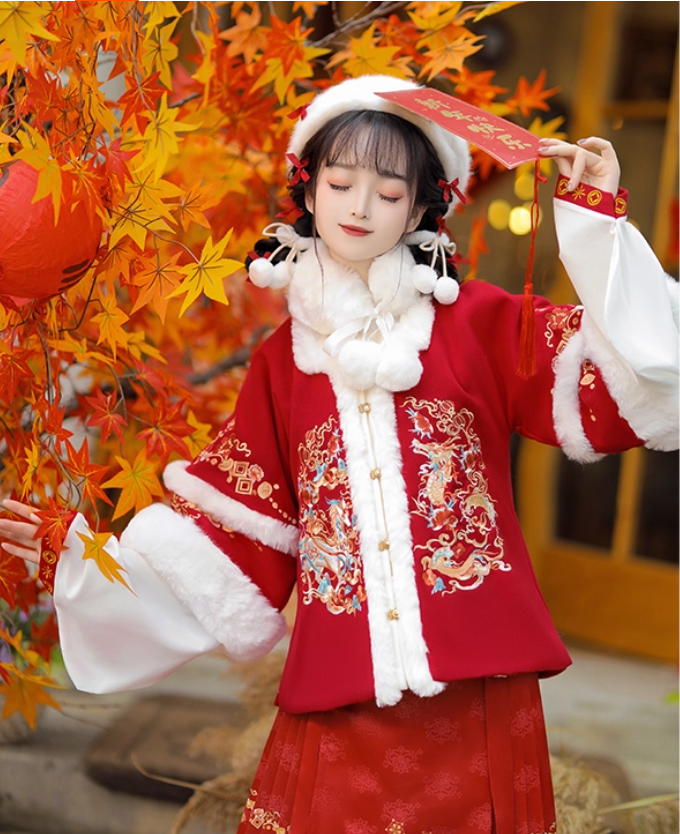 Ming Hanfu Women's 2025 New Winter Horse-faced Skirt Improved with Velvet Thickened Coat Skirt Daily Costume