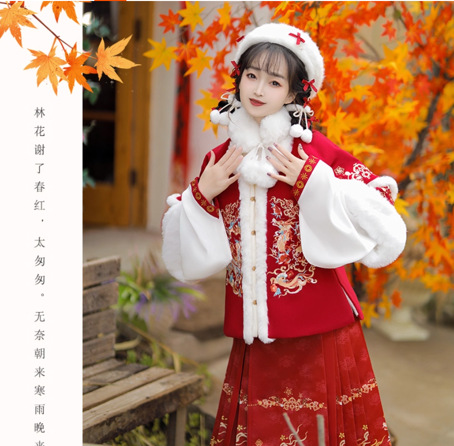 Ming Hanfu Women's 2025 New Winter Horse-faced Skirt Improved with Velvet Thickened Coat Skirt Daily Costume