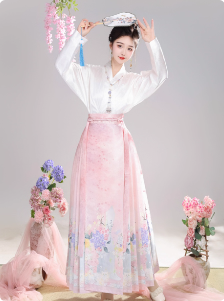 【哈基米】Ming Dynasty Hanfu Ma Mian Skirt Set