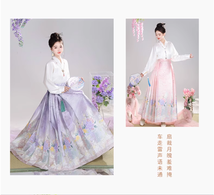 【哈基米】Ming Dynasty Hanfu Ma Mian Skirt Set