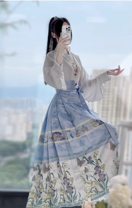 Ming Dynasty Hanfu Chinese style suit horse face skirt