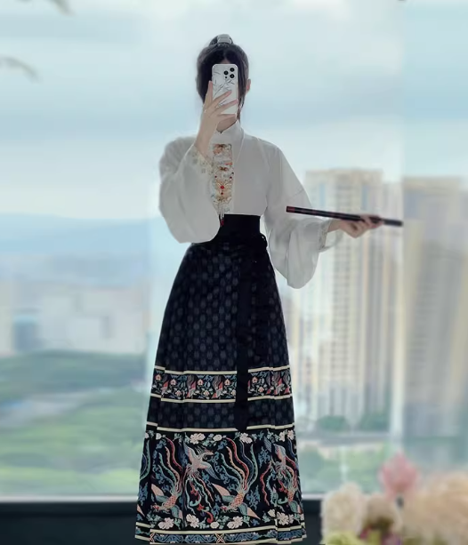 Ming Dynasty Hanfu Chinese style suit horse face skirt
