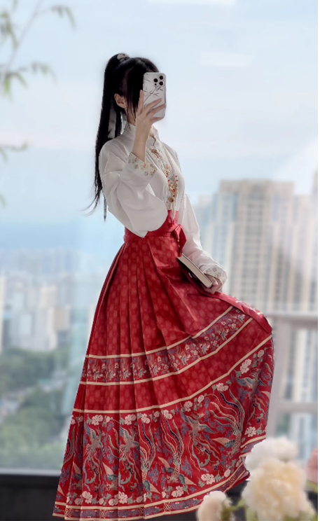 Ming Dynasty Hanfu Chinese style suit horse face skirt