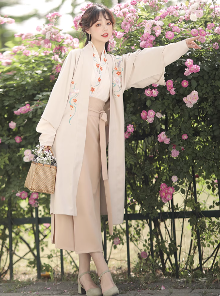 Song Dynasty style Hanfu modern Chinese style Aoqun