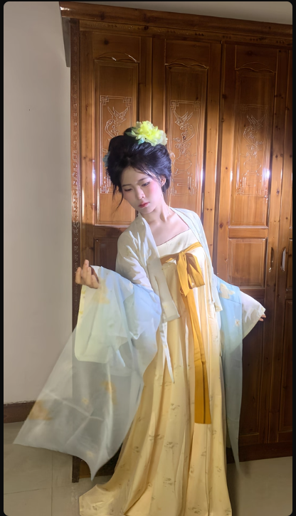 [法门寺]Tang Dynasty Hanfu Ruqun Broken Skirt Chest Strap Dress
