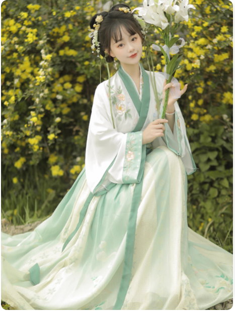 【梦三笙】Wei Jin Dynasty Hanfu Qi Waist Ruqun Dress Set