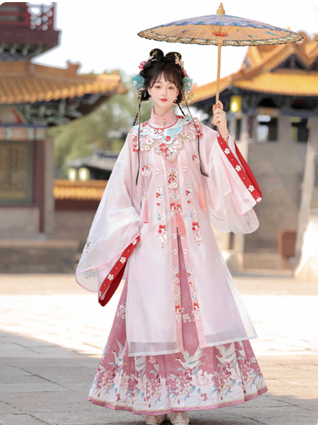 Ming Dynasty Hanfu Chinese style embroidery Aoqun horse face skirt set