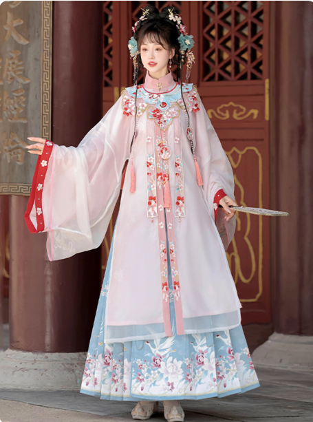 Ming Dynasty Hanfu Chinese style embroidery Aoqun horse face skirt set