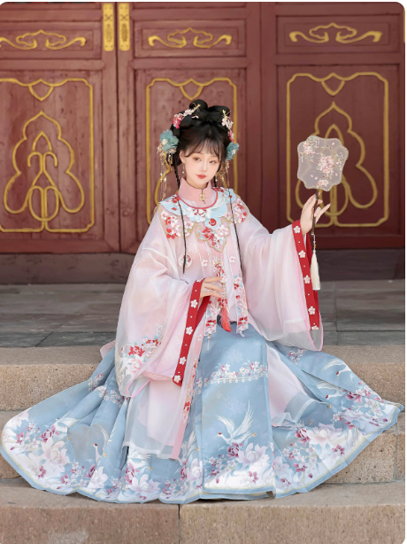 Ming Dynasty Hanfu Chinese style embroidery Aoqun horse face skirt set
