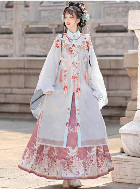 Ming Dynasty Hanfu Chinese style embroidery Aoqun horse face skirt set