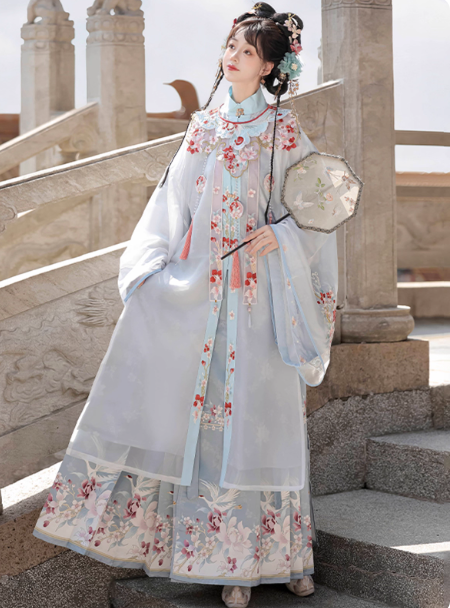 Ming Dynasty Hanfu Chinese style embroidery Aoqun horse face skirt set