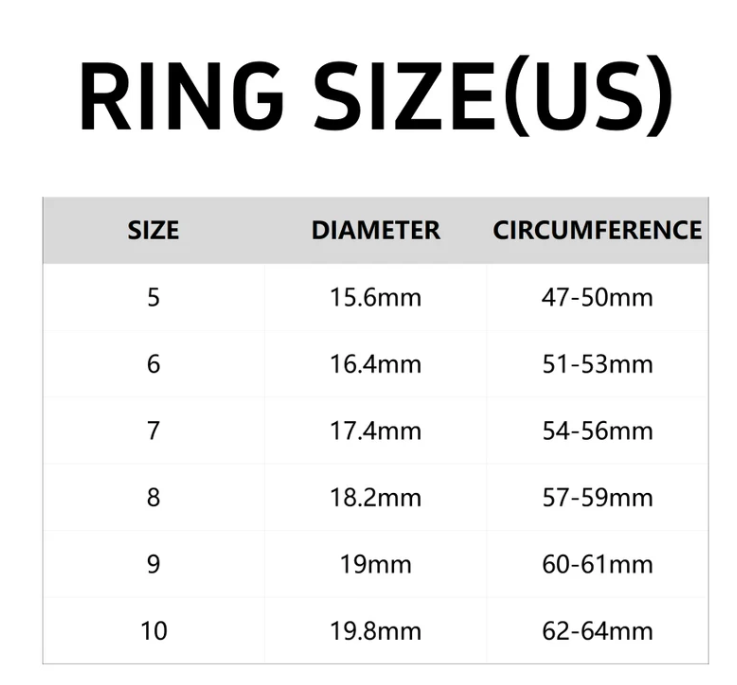 Rotating ring in titanium and steel with zirconite