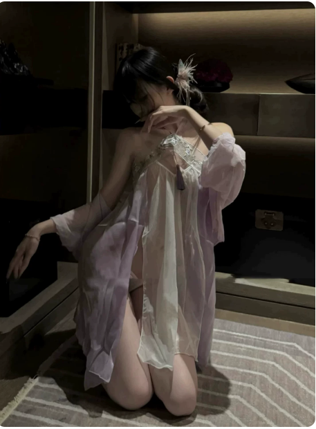 New Chinese Hanfu Lingerie Set | Sheer Robe & Dress