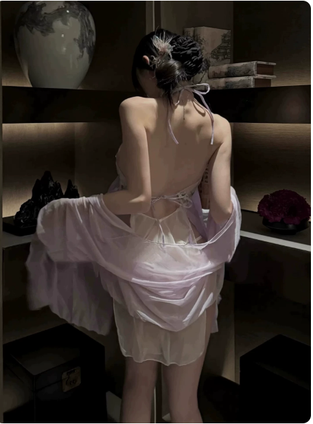 New Chinese Hanfu Lingerie Set | Sheer Robe & Dress